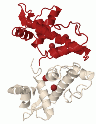 Image Biol.Unit 1 - manually