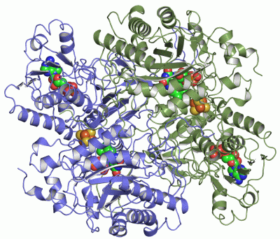 Image Asym./Biol. Unit - manually