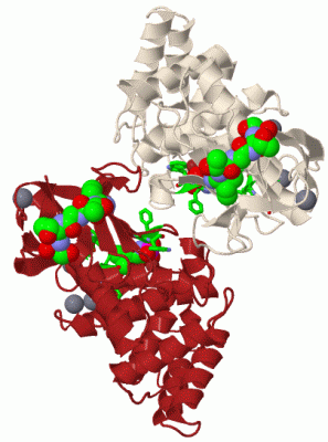 Image Asym./Biol. Unit - manually