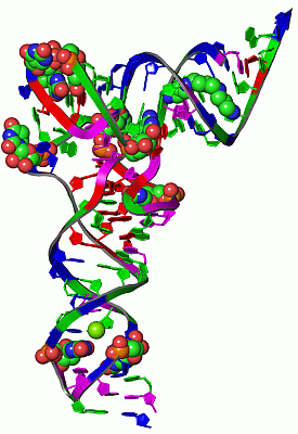 Image Asym./Biol. Unit - manually