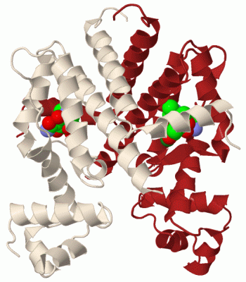 Image Biol.Unit 1 - manually