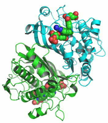 Image Asym./Biol. Unit - manually