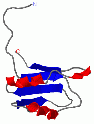 Image NMR Structure - manually