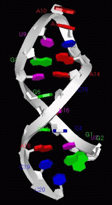 Image NMR Structure - manually