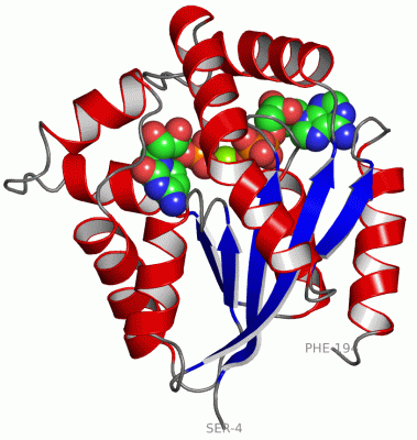 Image Asym./Biol. Unit - manually