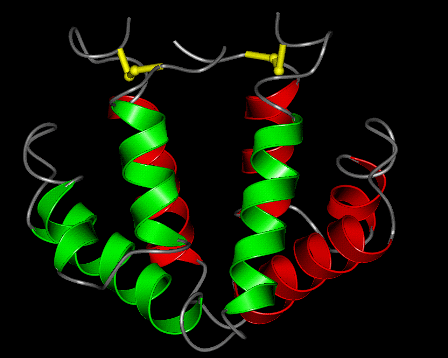 Image Asym./Biol. Unit - manually