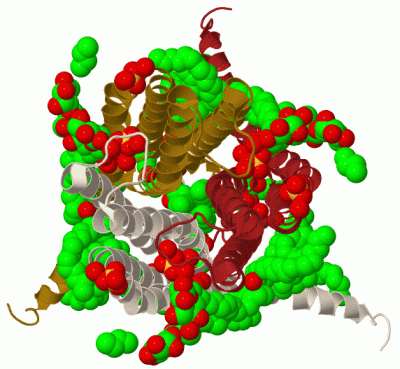 Image Biol.Unit 1 - manually