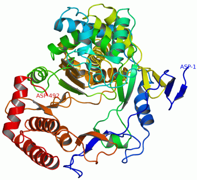 Image Asym./Biol. Unit - manually