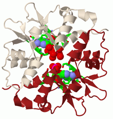 Image Biol.Unit 1 - manually