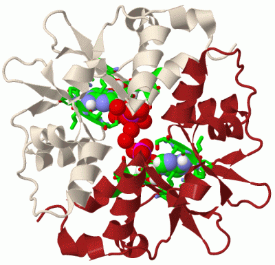 Image Biol.Unit 1 - manually