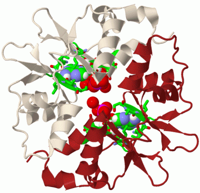 Image Biol.Unit 1 - manually