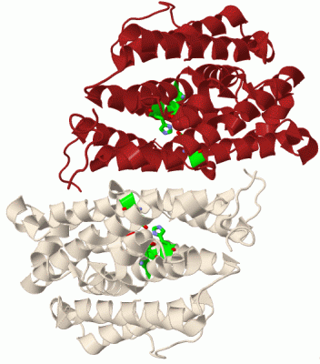 Image Biol.Unit 1 - manually