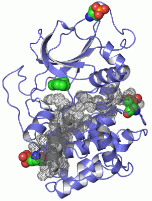 Image Asym./Biol. Unit - manually