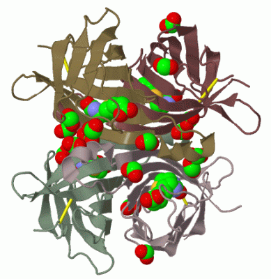 Image Biol.Unit 1 - manually