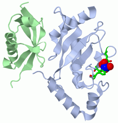 Image Asym./Biol. Unit - manually