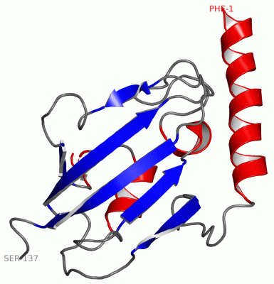Image NMR Structure - manually