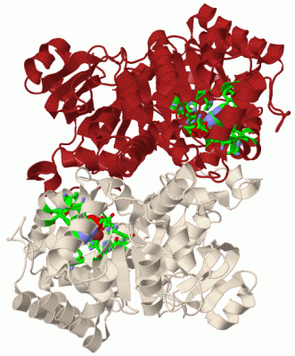 Image Biol.Unit 1 - manually