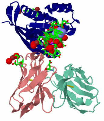 Image Asym./Biol. Unit - manually