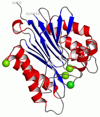 Image Asym./Biol. Unit - manually