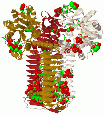 Image Biol.Unit 1 - manually