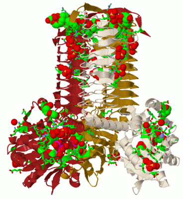 Image Biol.Unit 1 - manually