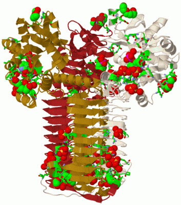 Image Biol.Unit 1 - manually