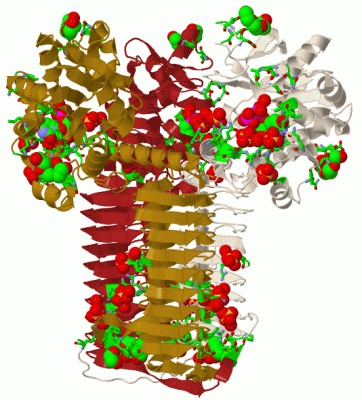 Image Biol.Unit 1 - manually