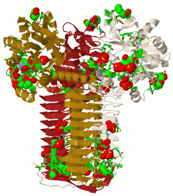 Image Biol.Unit 1 - manually