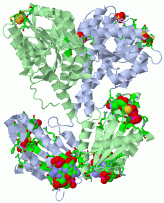 Image Asym./Biol. Unit - manually