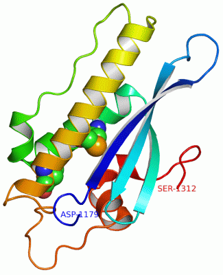 Image Asym./Biol. Unit - manually