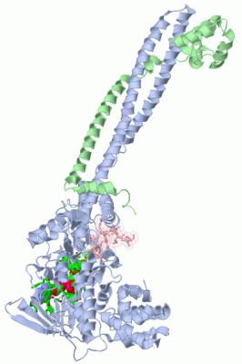 Image Asym./Biol. Unit - manually