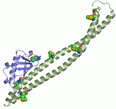 Image Asym./Biol. Unit - manually