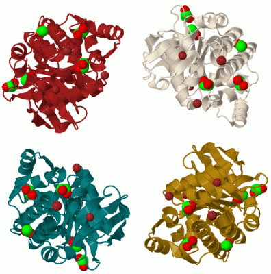 Image Biol.Unit 1 - manually