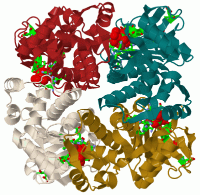 Image Biol.Unit 1 - manually