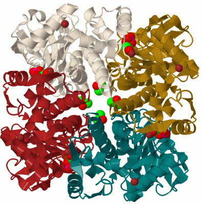 Image Biol.Unit 1 - manually