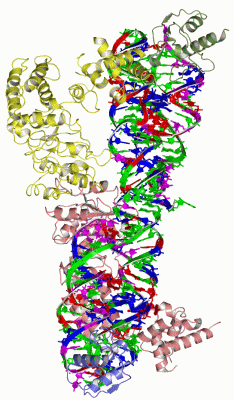 Image Biol.Unit 1 - manually