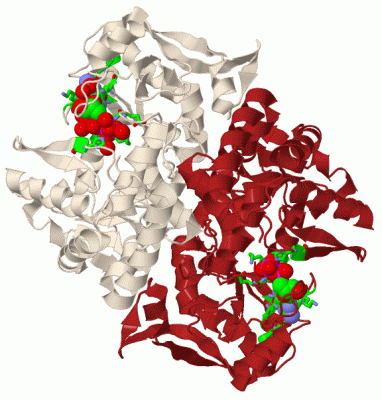 Image Biol.Unit 1 - manually