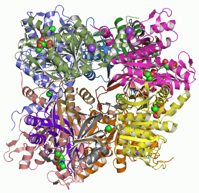 Image Asym./Biol. Unit - manually