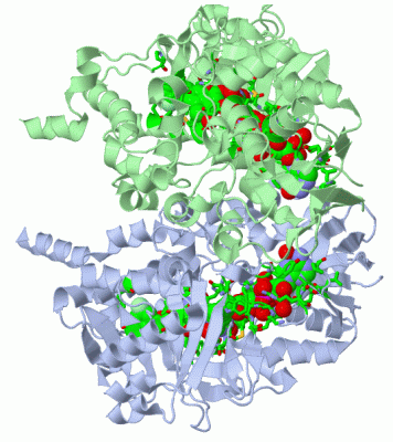 Image Asym./Biol. Unit - manually