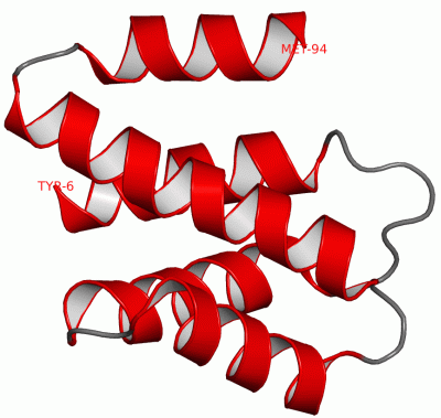 Image Asym./Biol. Unit - manually