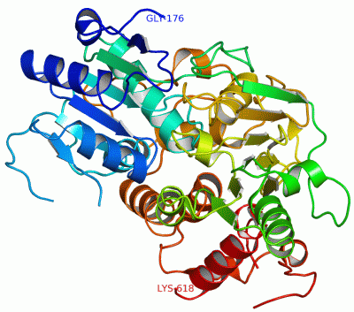 Image Asym./Biol. Unit - manually