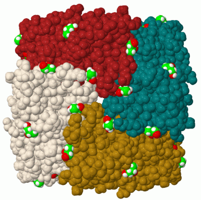 Image Biol.Unit 1 - manually