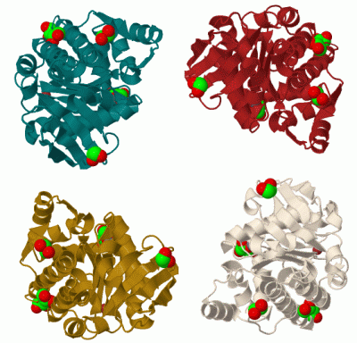 Image Biol.Unit 1 - manually