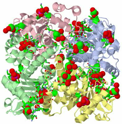 Image Asym./Biol. Unit - manually