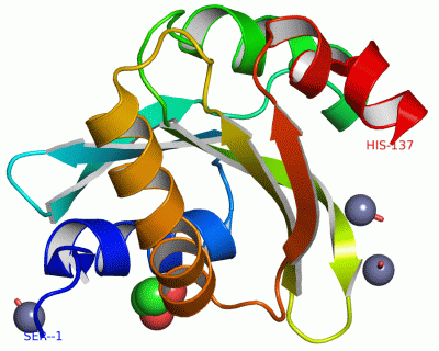 Image Asym./Biol. Unit - manually