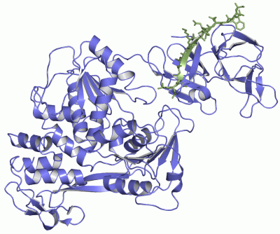 Image Asym./Biol. Unit - manually