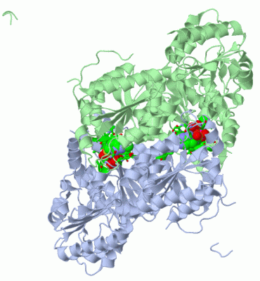 Image Asym./Biol. Unit - manually