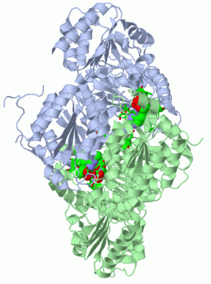 Image Asym./Biol. Unit - manually