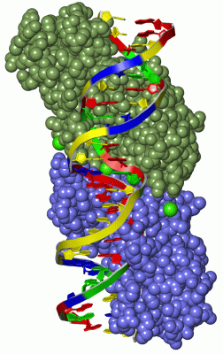 Image Asym./Biol. Unit - manually