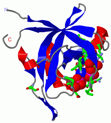 Image Asym./Biol. Unit - manually